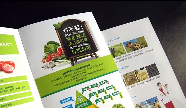 水木田园 有机蔬菜 VI设计