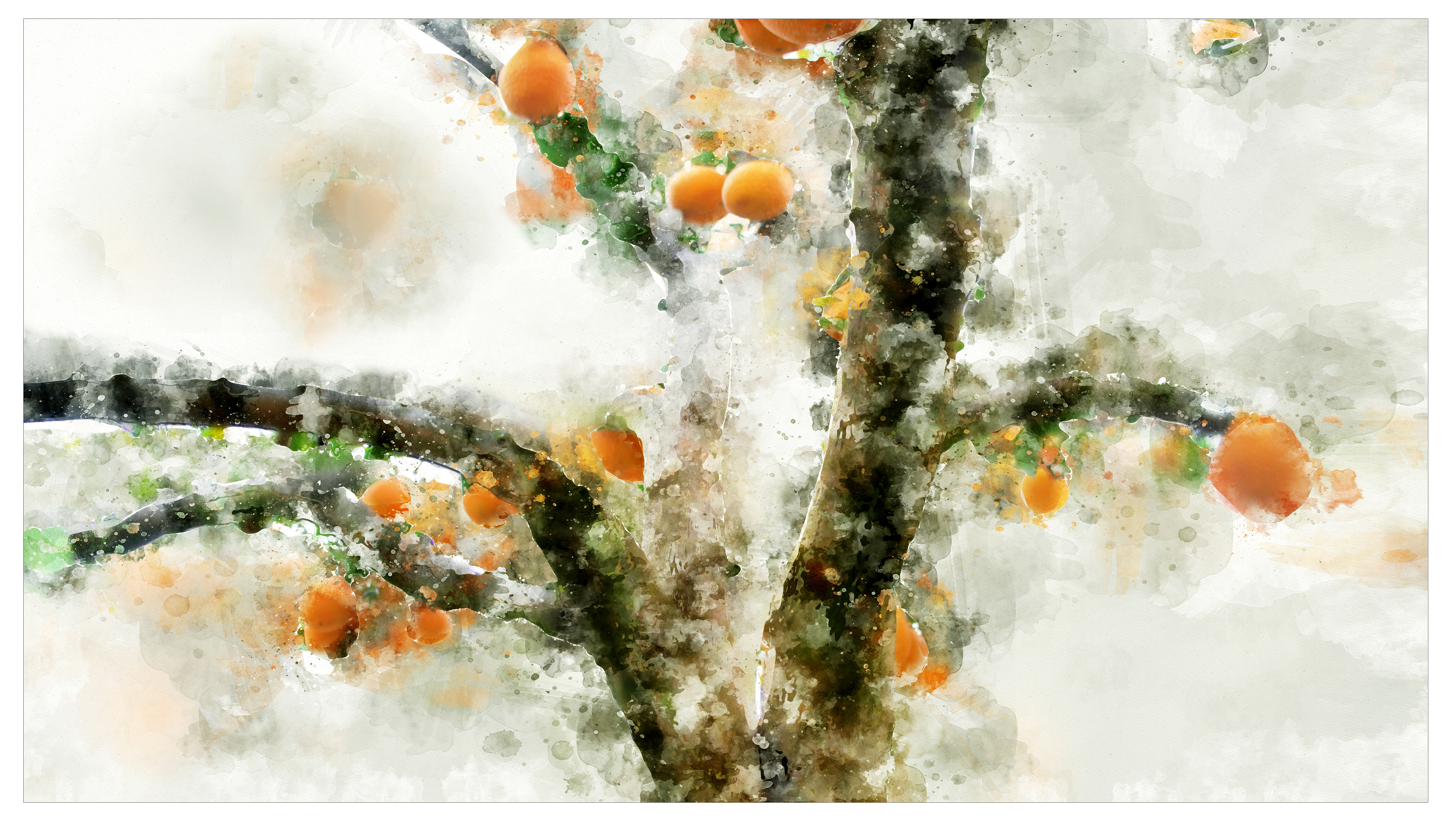 橘树国画图片