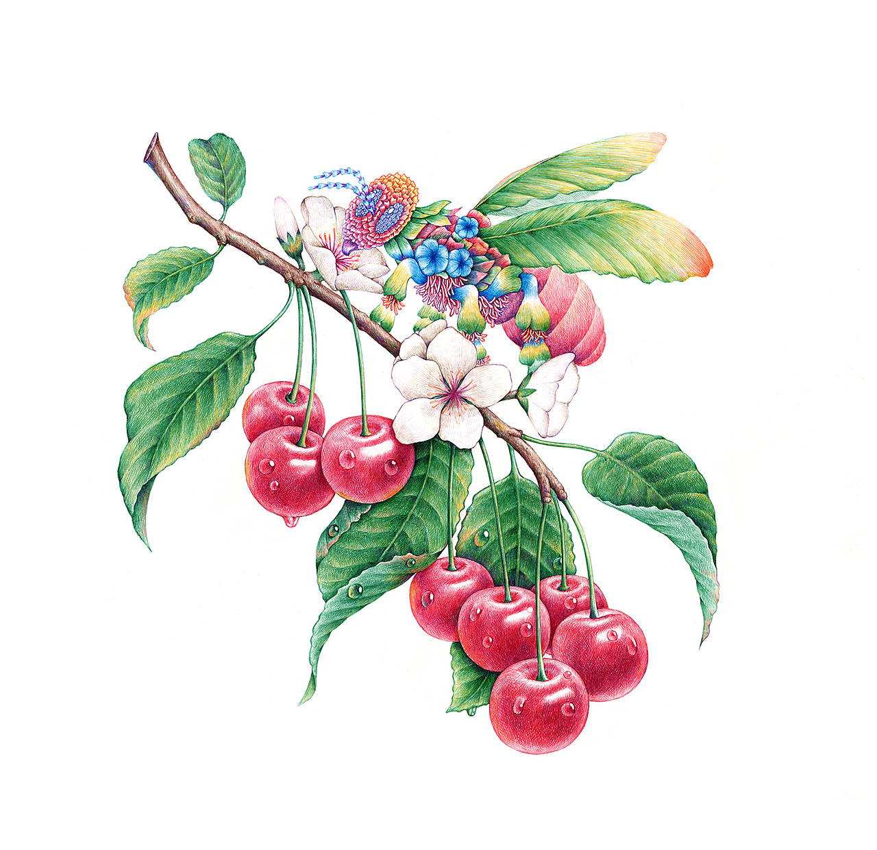 手绘包装插画（图ZMTAxNDczNjg0） - 商业插画 - 站酷设计师舒展原创素材 - 站酷ZCOOL