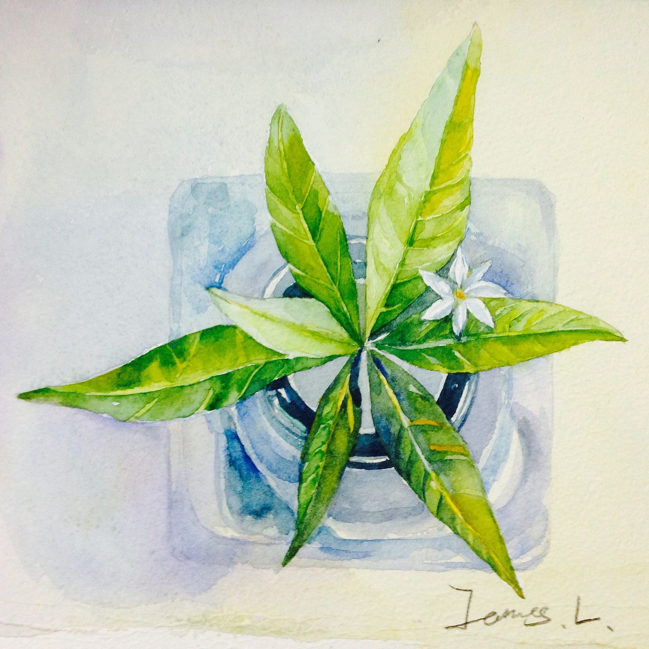 水彩插画全日班刘敬慈老师花卉作品（图ZMTgxMjIzMTY=） - 创作习作 - 站酷设计师明天教室原创素材 - 站酷ZCOOL