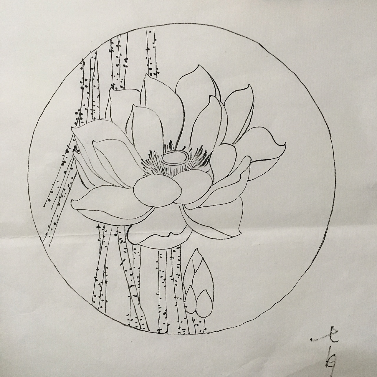 工笔白描（图ZNjU5NDYyMDQ=） - 绘画 - 站酷设计师喃七月原创素材 - 站酷ZCOOL