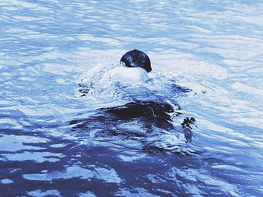 流年未亡 夏日已尽。