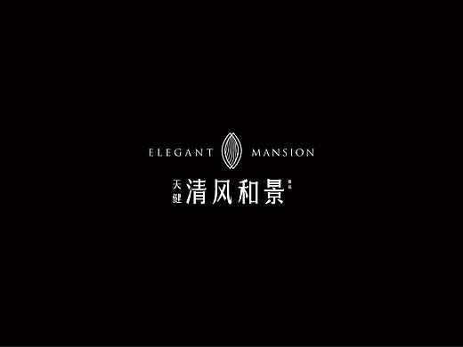 地产-天健项目提案