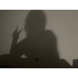 婉晴ya的头像