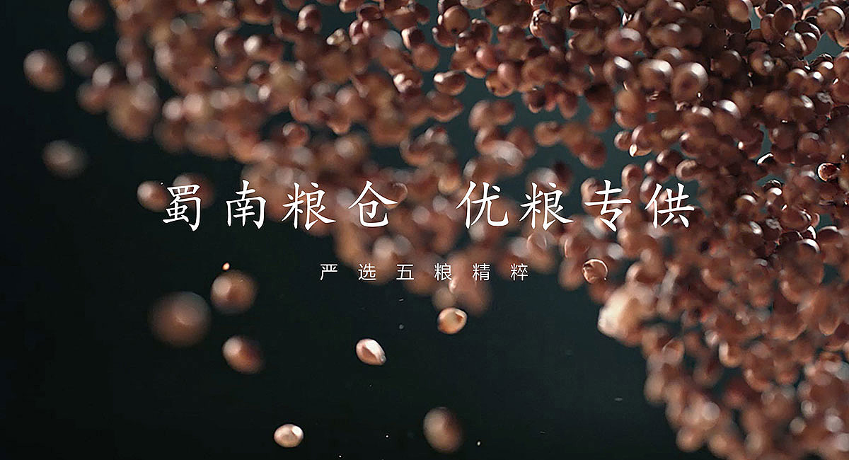 散酒品牌VI设计-品牌全案设计