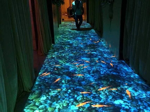 3d全息投影地面鱼互动投影厂家 ar光影互动