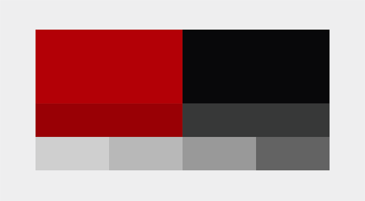 胎兄胎弟丨轮胎服务品牌LOGO全案/VI设计/包装设计