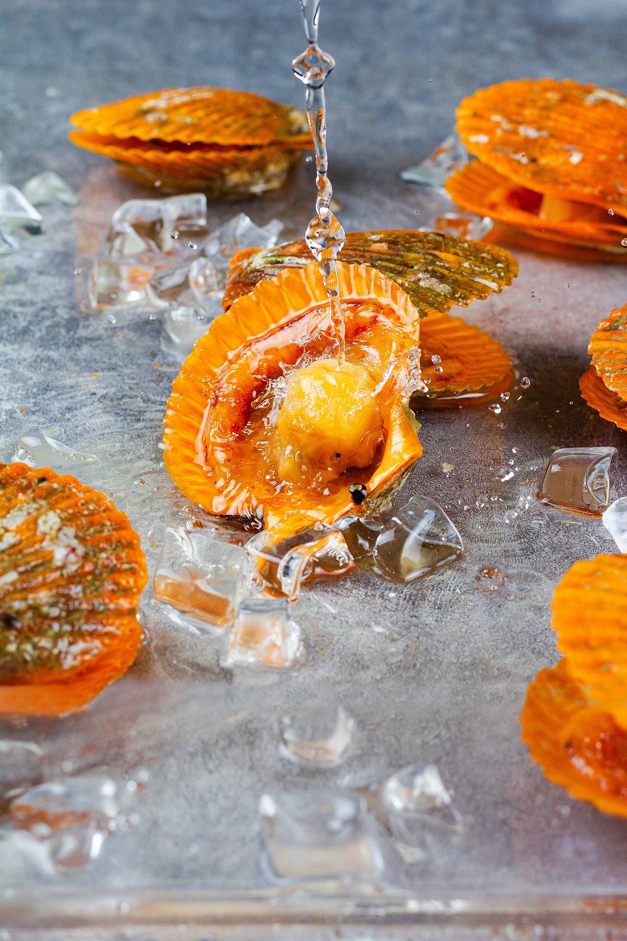 【美食摄影】扇贝