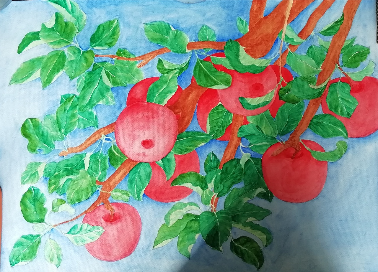 果树的画法水彩画图片