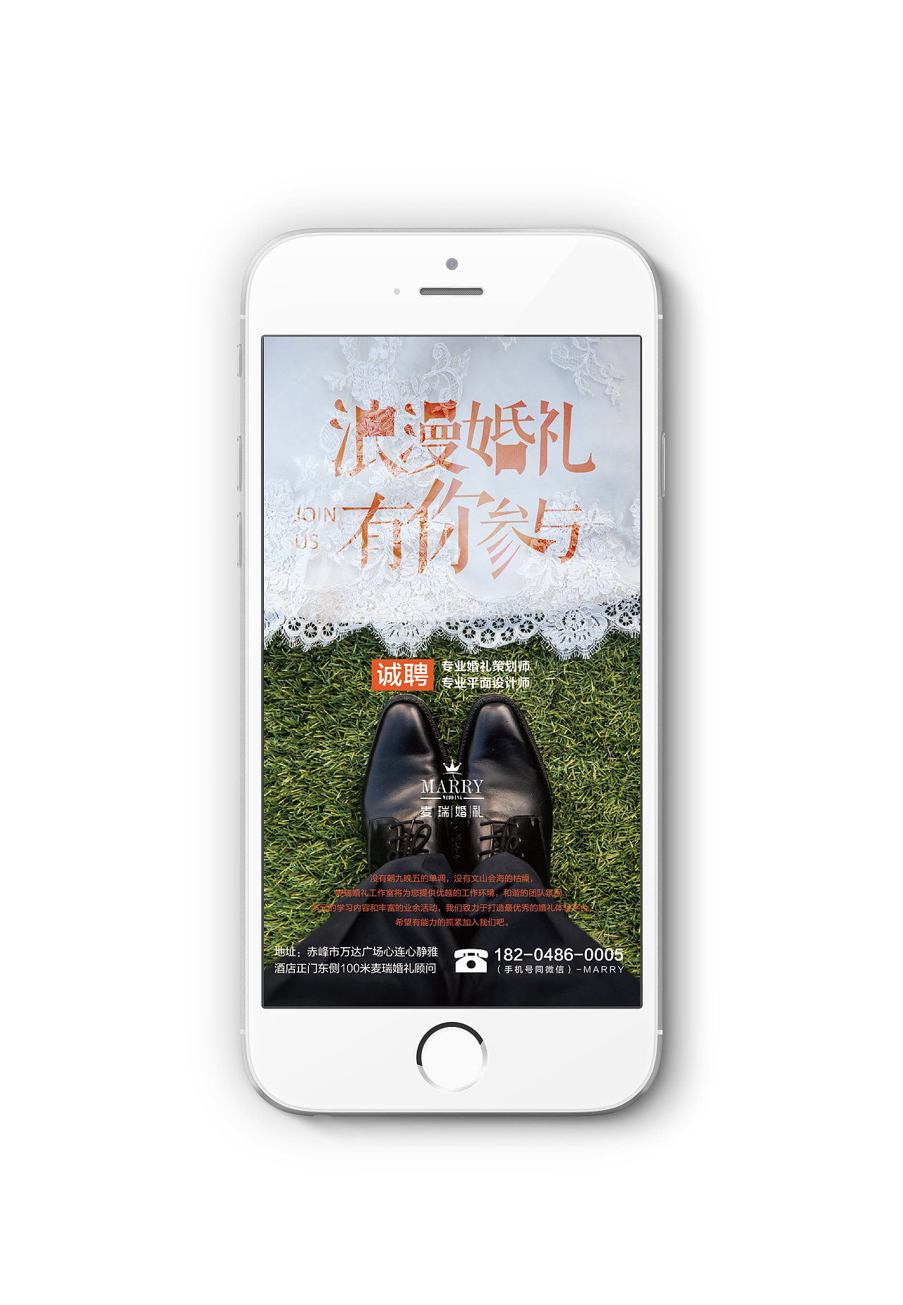 闪屏-广告/海报