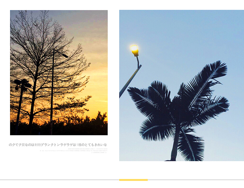 摄影 不一样的感觉