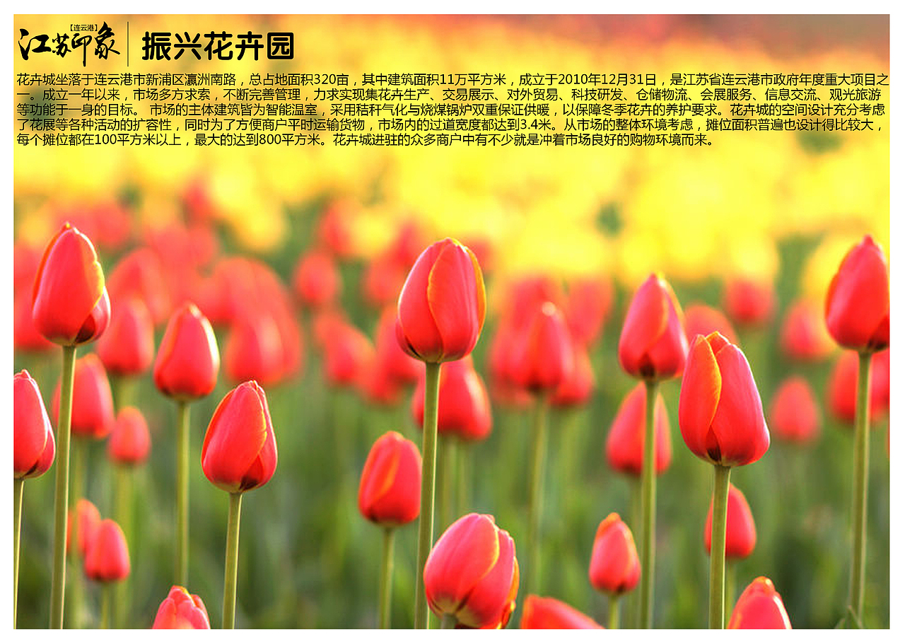 江苏连云港景点（图ZODM0NzAxMTY=） - 书籍/画册 - 站酷设计师浅墨幺幺原创素材 - 站酷ZCOOL