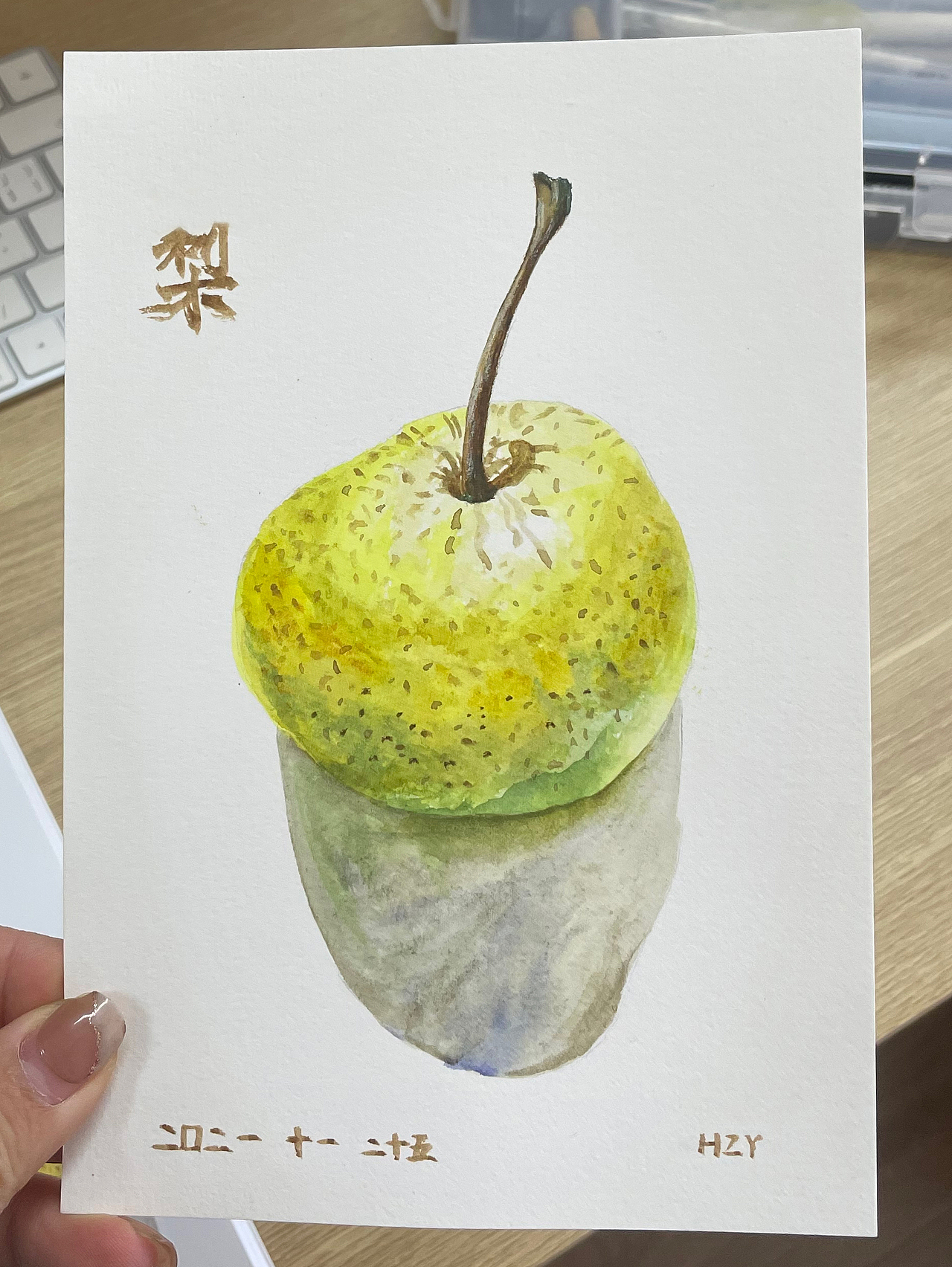 水彩/杏-苹果-梨（图ZMjgxNTA5NTQ0） - 绘画 - 站酷设计师HZY卓研原创素材 - 站酷ZCOOL
