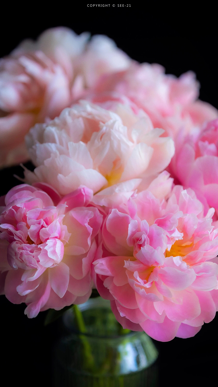 有灵魂的人，她一个人站在那里，就是千军万马。（图ZMzU2MDIzODg4） - 风光摄影 - 站酷设计师一小迷糊一原创素材 - 站酷ZCOOL