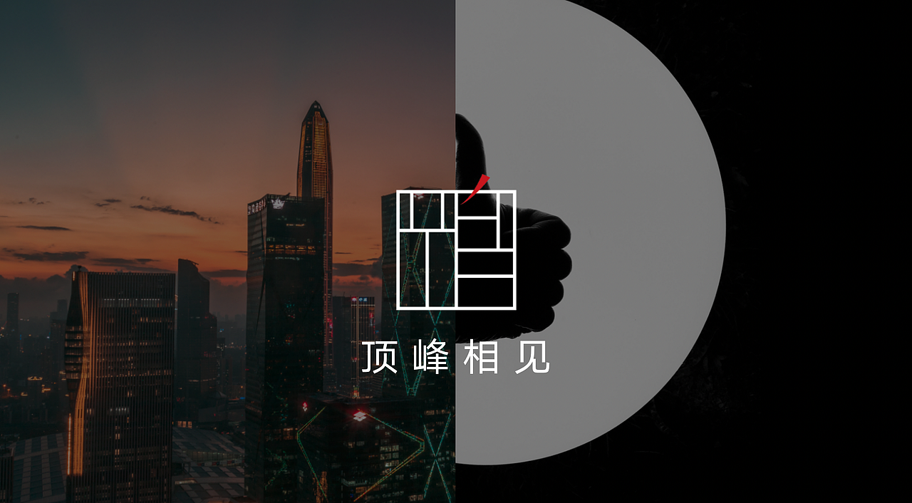 大师海鸥LOGO设计