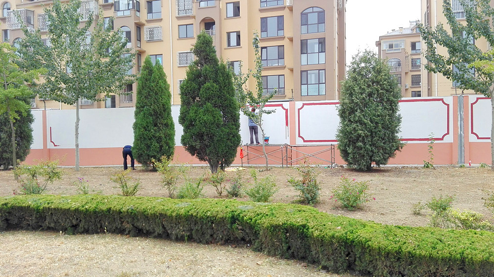 青岛墙体彩绘-学校教育-文化墙彩绘