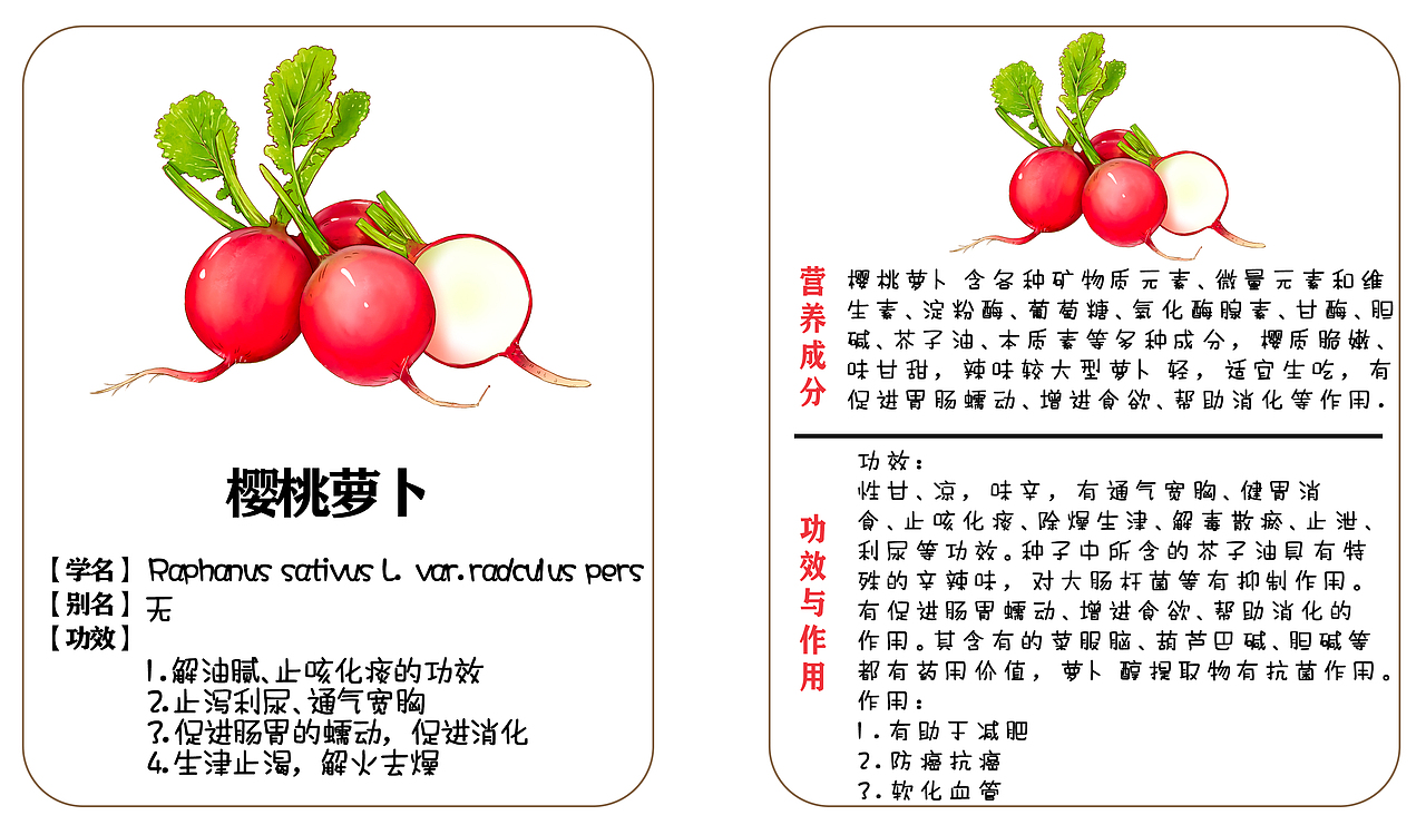 植物蔬菜科普卡贴（图ZMjgxNzc4MjMy） - 儿童插画 - 站酷设计师胖琳PANGLIN原创素材 - 站酷ZCOOL