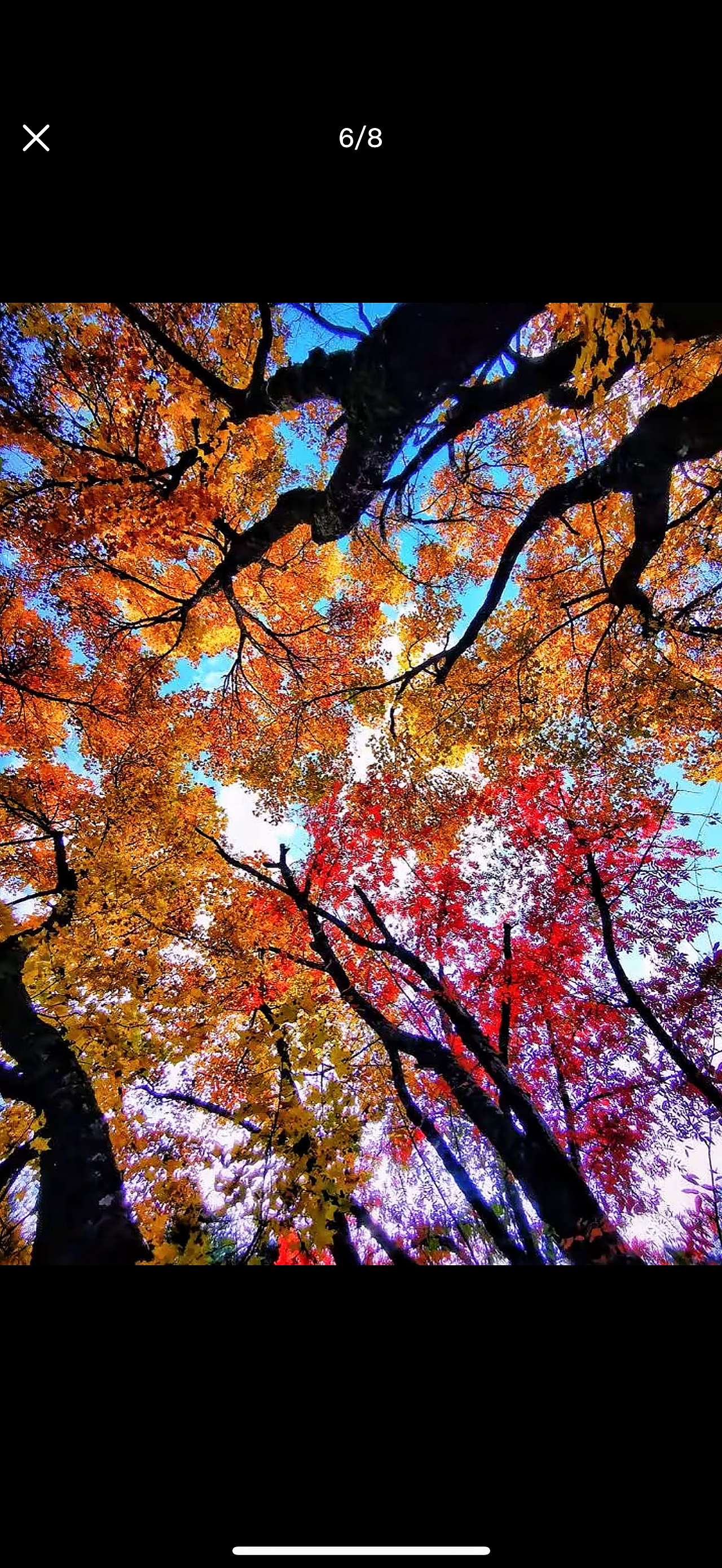 这绝美神颜无滤镜修图美景，啥也不说了，自己看吧…