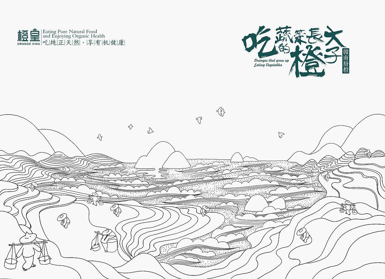 赣南脐橙插画包装系列二