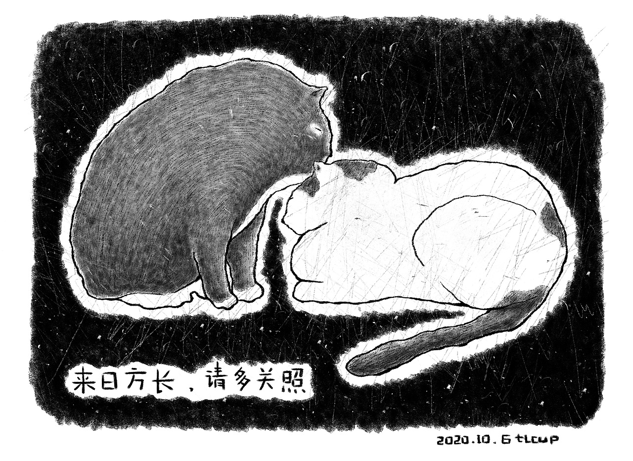 每日一猫小涂合集