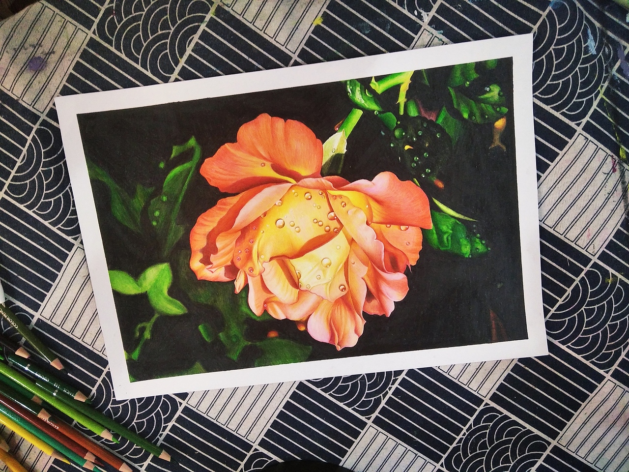 彩铅手绘《 月季》