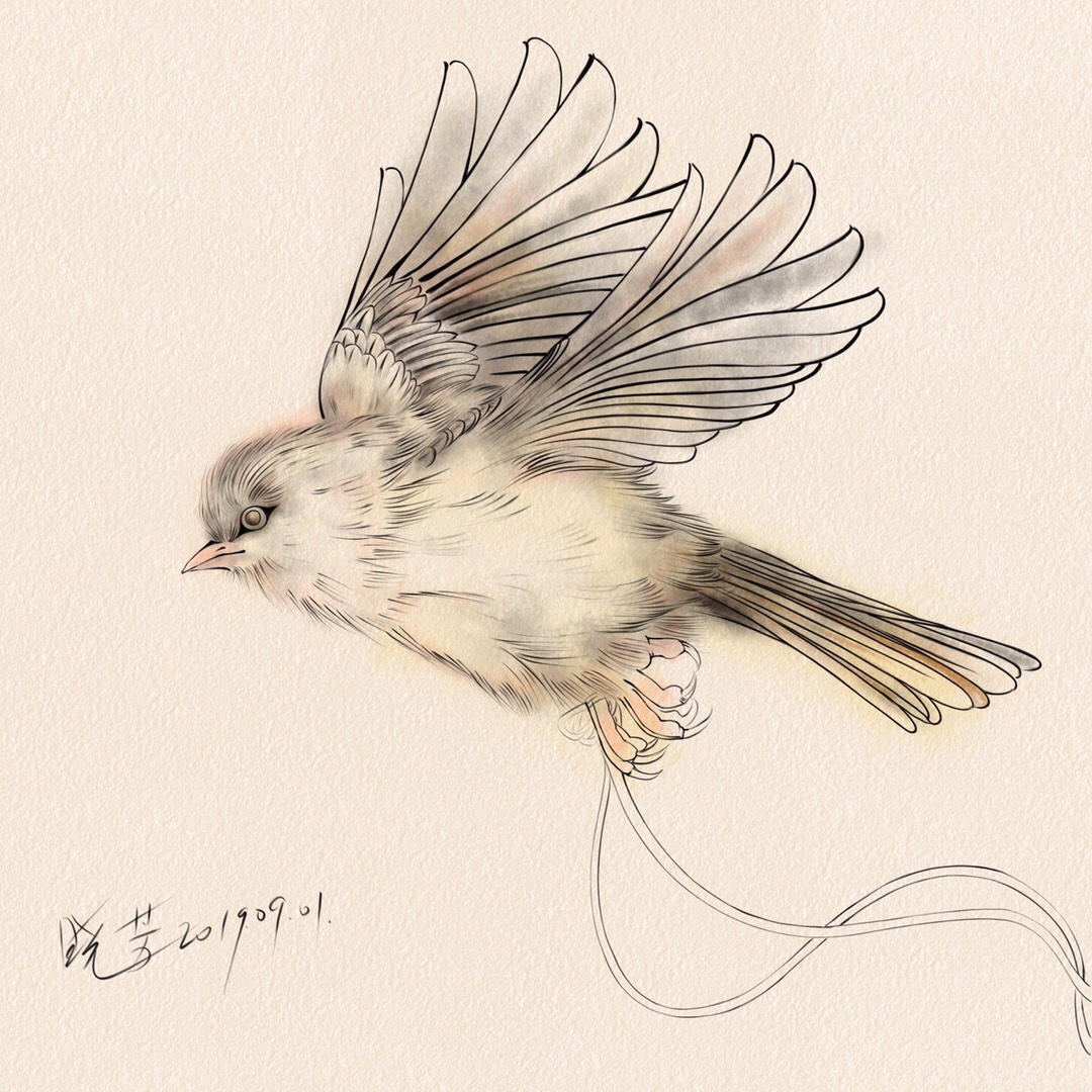 水彩画系列-鸟类|纯艺术|绘画|huanglanhehe - 原创作品 - 站酷 (ZCOOL)