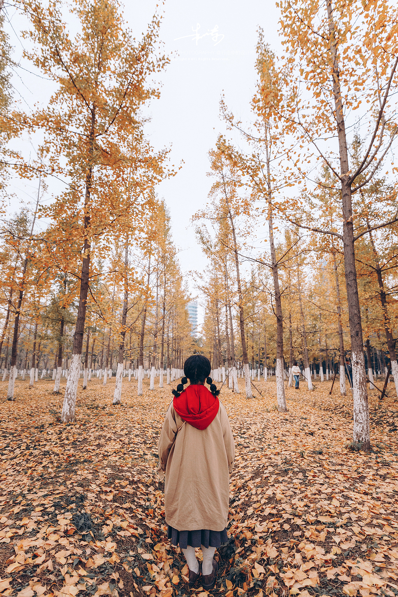 大多数阴霾,归咎于挡住了自己的光。