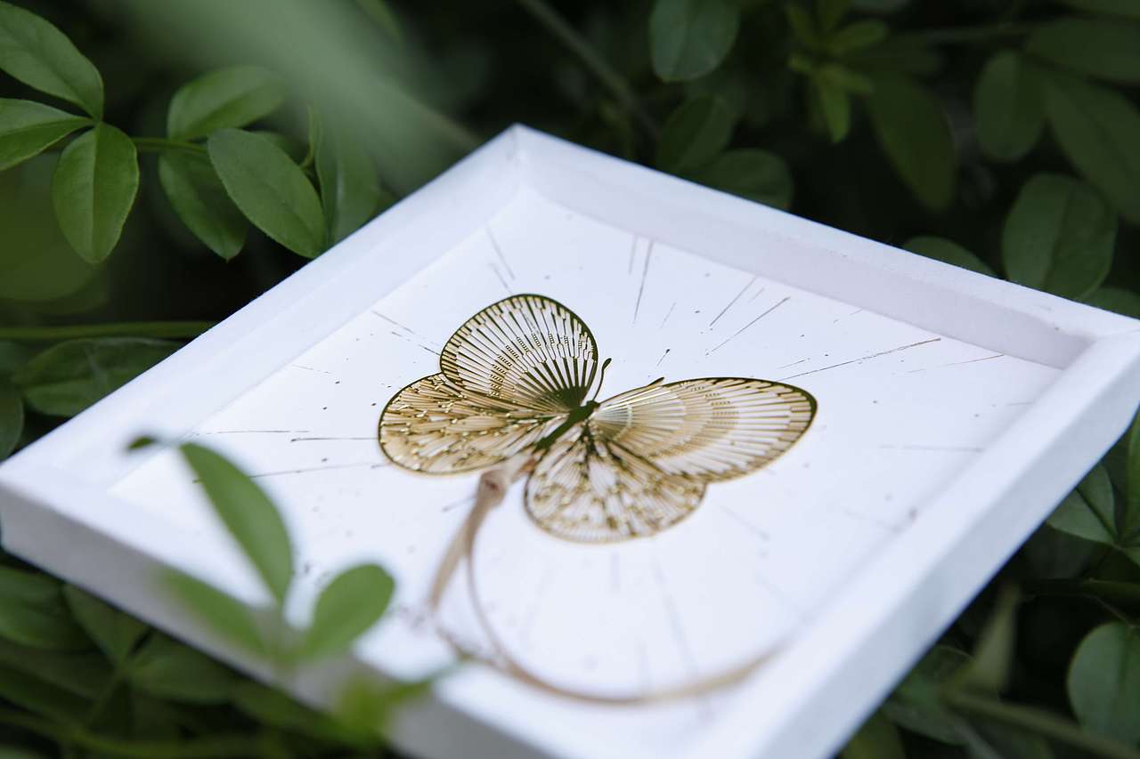 手心里蝴蝶小姐书签礼盒