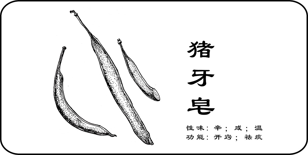 中草药手绘标示（图ZMzY3NTI4MzI=） - 创作习作 - 站酷设计师一二零七原创素材 - 站酷ZCOOL