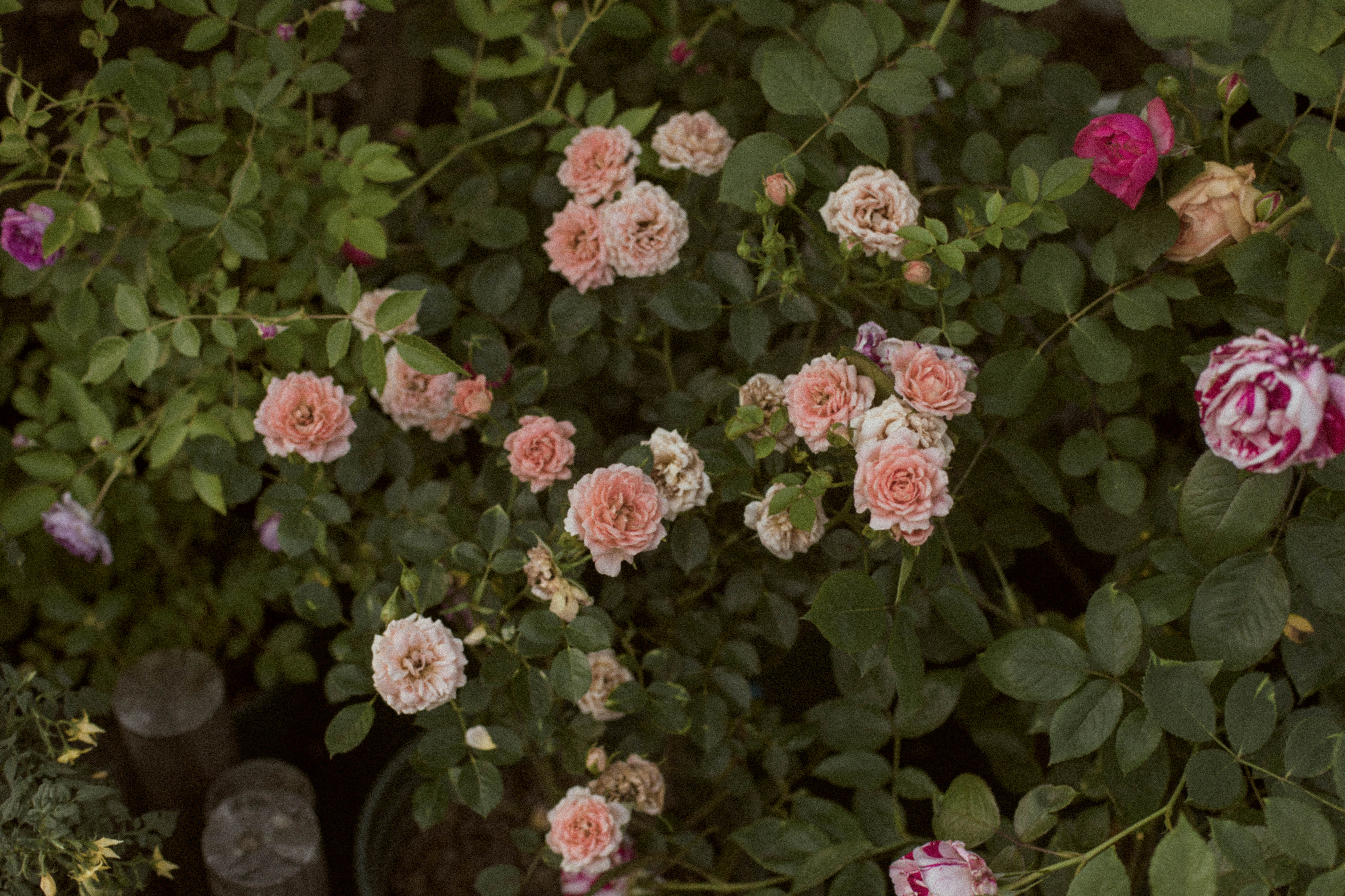 zqqxsnh的個(gè)人主頁(yè)（封面預(yù)覽） - 主頁(yè)封面設(shè)置 - 站酷設(shè)計(jì)師zqqxsnh原創(chuàng)素材 - 站酷ZCOOL