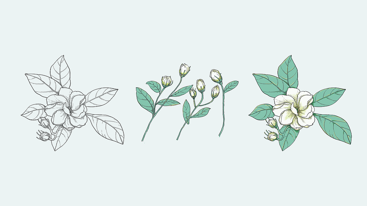 月色生活VI设计（图ZMTI0MzI4ODE2） - 品牌 - 站酷设计师SunpoolZCG原创素材 - 站酷ZCOOL