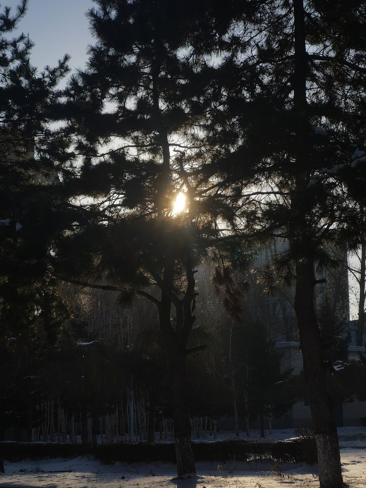 扫街（图ZMjc5NDYzMjY0） - 其他摄影 - 站酷设计师见习忍者原创素材 - 站酷ZCOOL