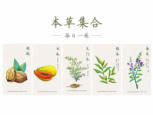 植物/本草每日一练