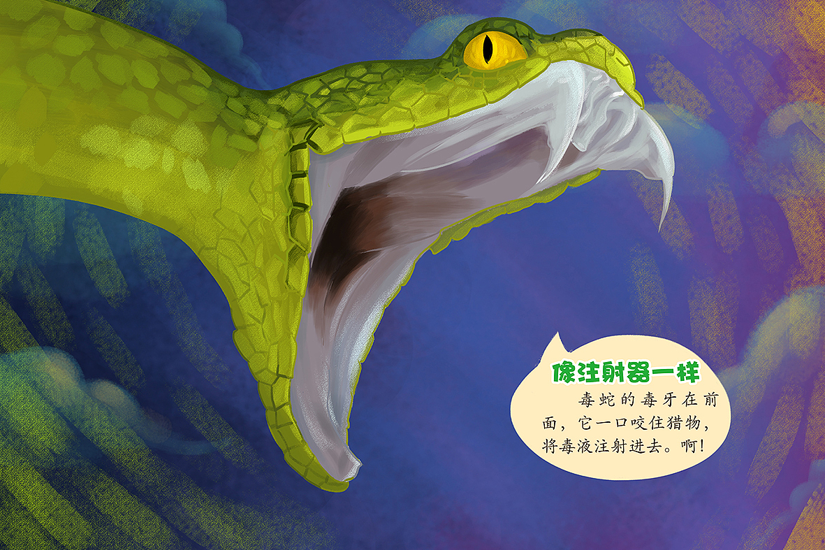 动物的牙齿（图ZODIxODc2ODg=） - 商业插画 - 站酷设计师xiaohulu原创素材 - 站酷ZCOOL