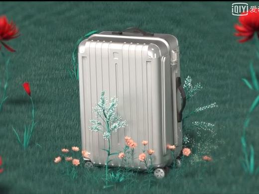 《旅行箱》