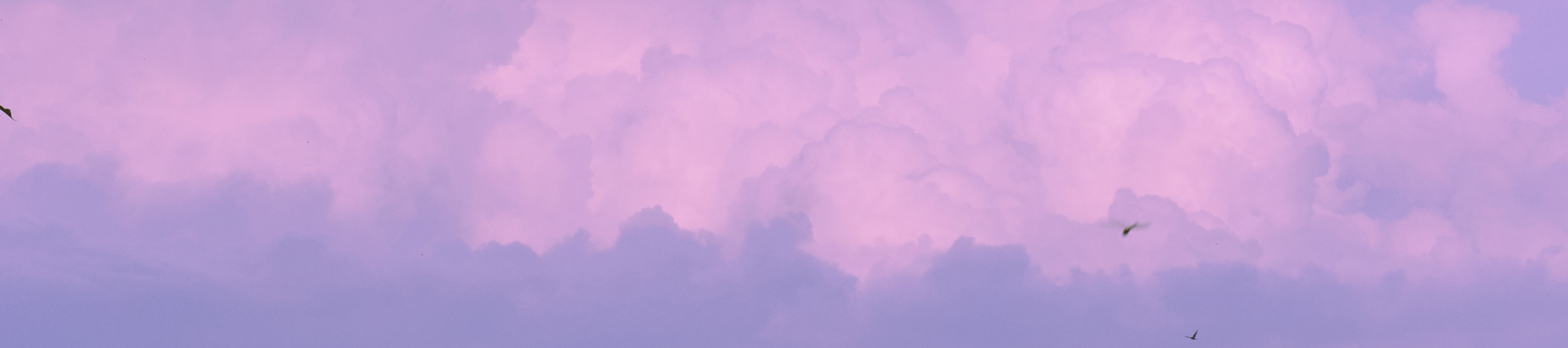 Mr匀仔的个人主页（封面预览） - 主页封面设置 - 站酷设计师Mr匀仔原创素材 - 站酷ZCOOL