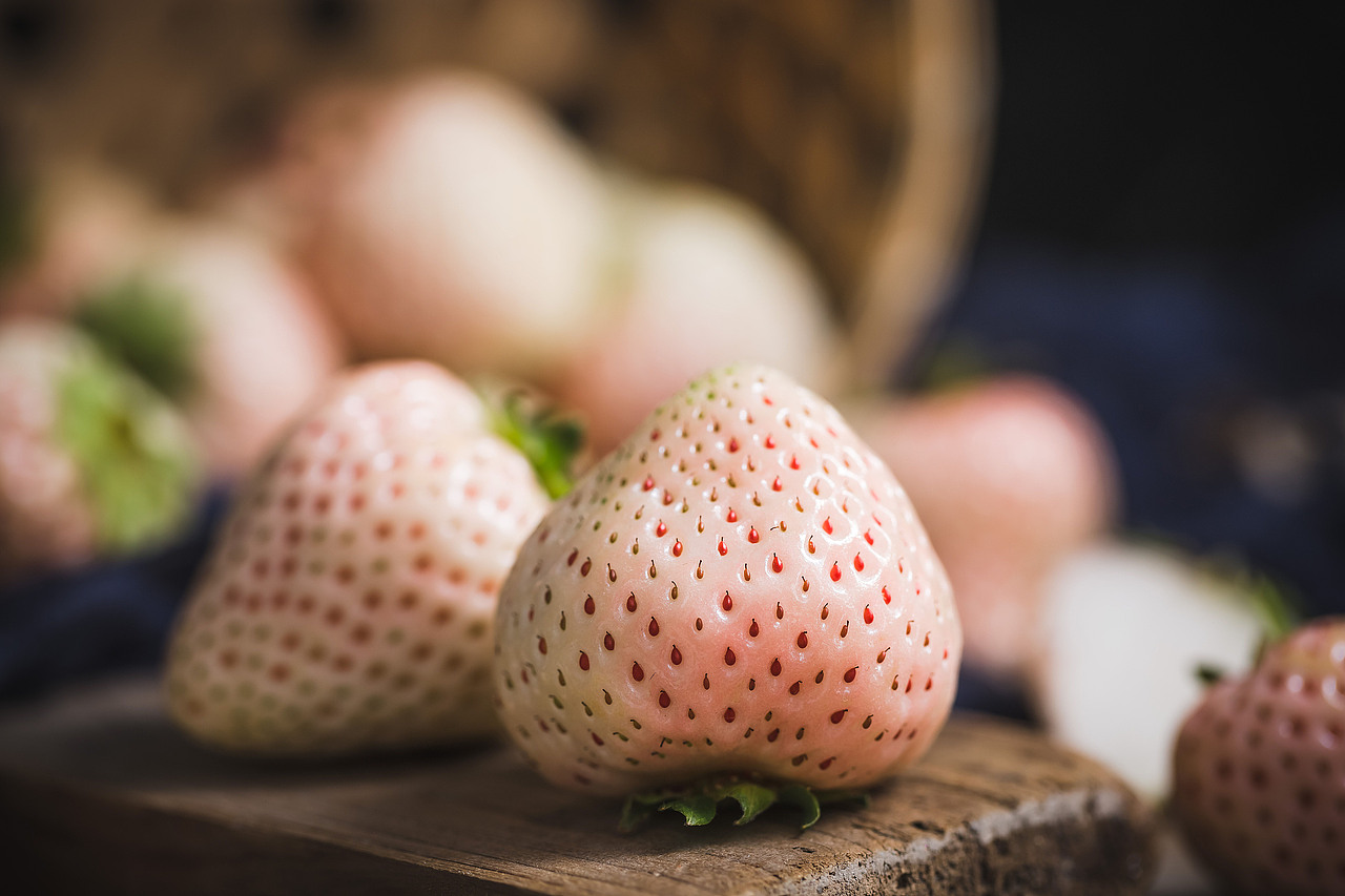 吃不起系列白草莓