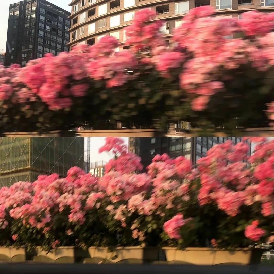 153041500的个人主页（背景预览） - 主页背景设置 - 站酷设计师153041500原创素材 - 站酷ZCOOL