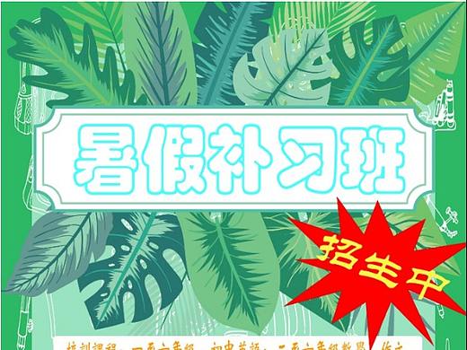 暑假补习班（个人主页-ZNDY5Mzk2NDA=） - 宣传物料 - 站酷设计师单推夏色祭原创素材 - 站酷ZCOOL