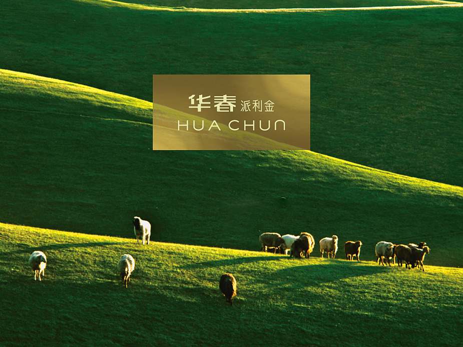 羊绒服饰品牌字体设计（图ZMTgxNDc0NjA=） - 字体/字形 - 站酷设计师精灵麦子原创素材 - 站酷ZCOOL