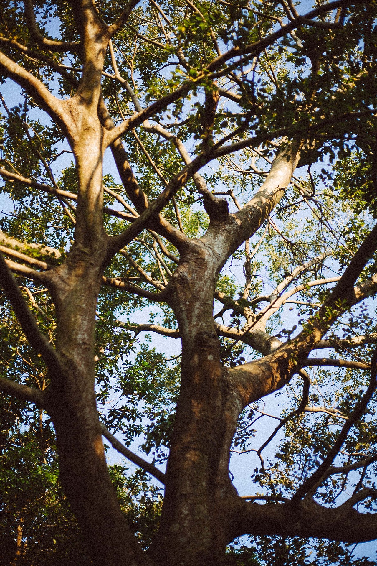 田园·农场·山野
