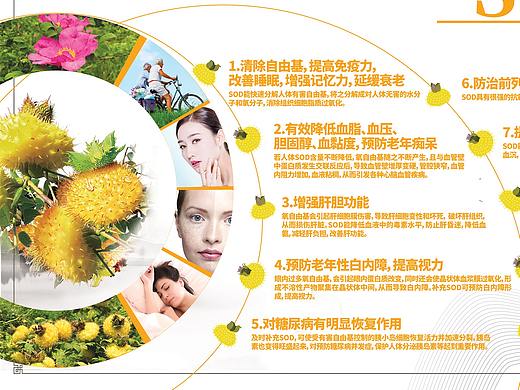 贵州刺梨 水果熊猫 展厅文化