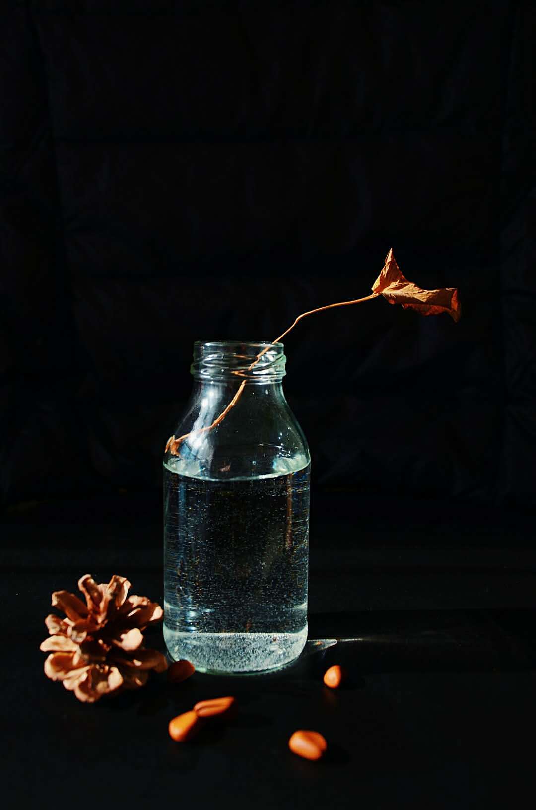 玻璃瓶花器花瓶插花瓶|摄影|静物|苹果很酸 - 原创作品 - 站酷 (ZCOOL)