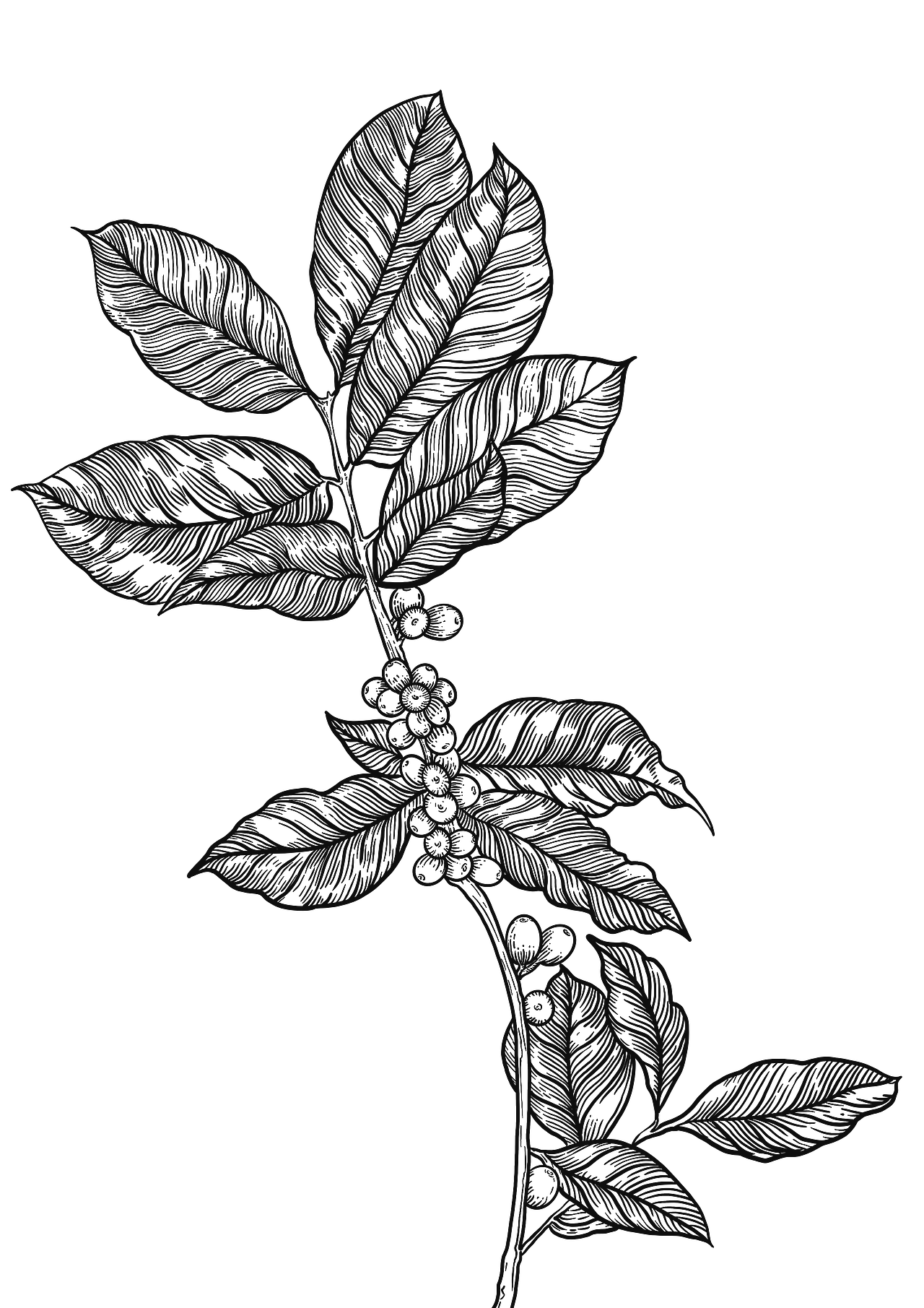 练习（图ZMjQ3MTY5MzM2） - 图案 - 站酷设计师AFawkes原创素材 - 站酷ZCOOL