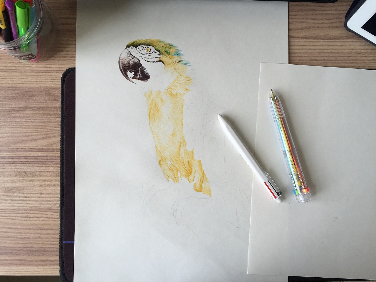 鹦鹉怎么画圆珠笔图片