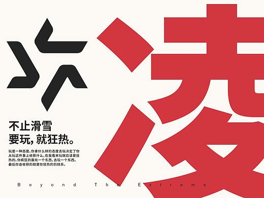LDSKI凌动 运动品牌VI识别系统