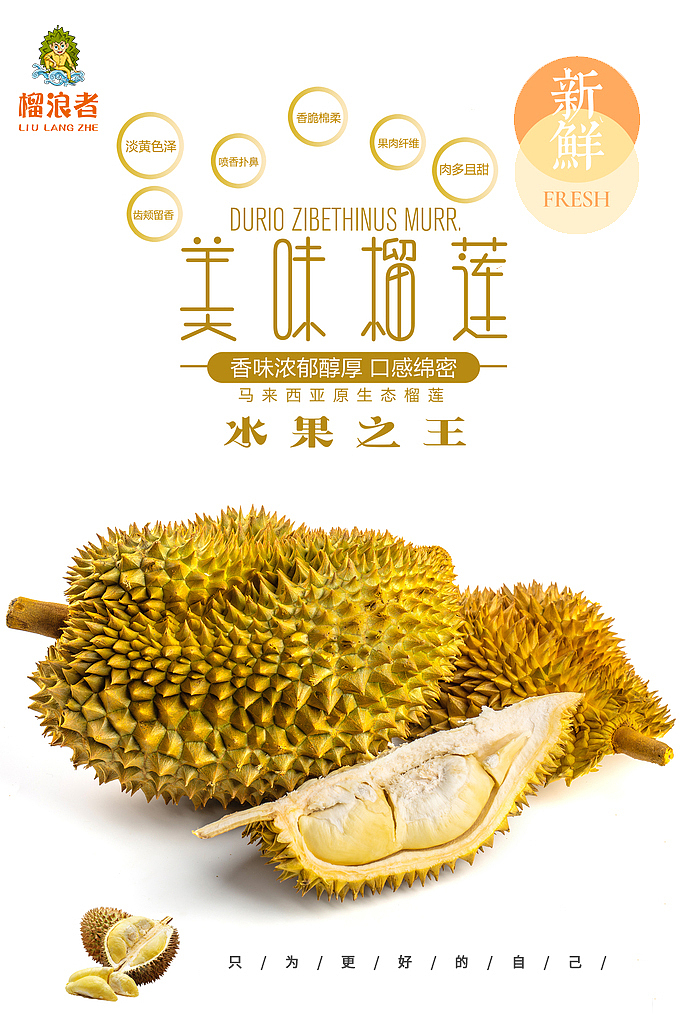 榴莲海报（图ZMTgyMTkwNDg4） - 海报 - 站酷设计师周梦尼原创素材 - 站酷ZCOOL