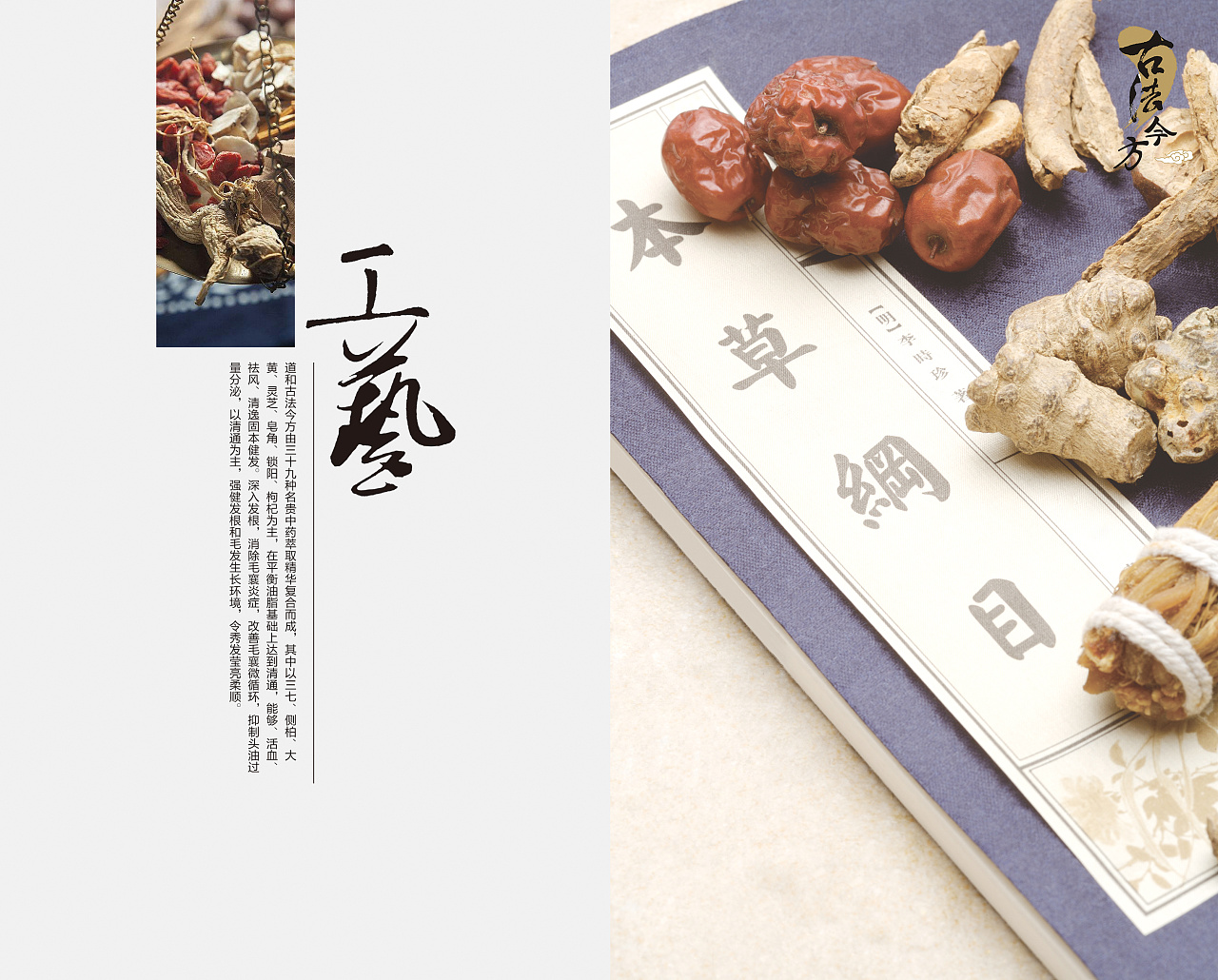 广州道禾医药公司-产品手册设计