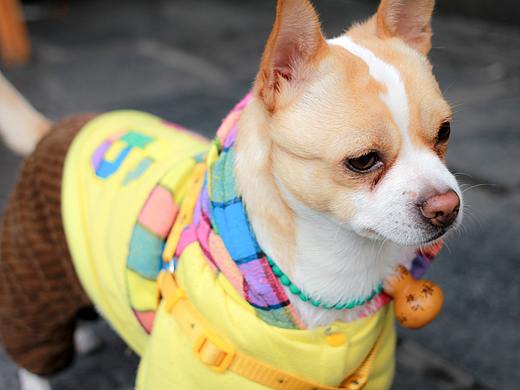 偶遇的你-“杨小爆”