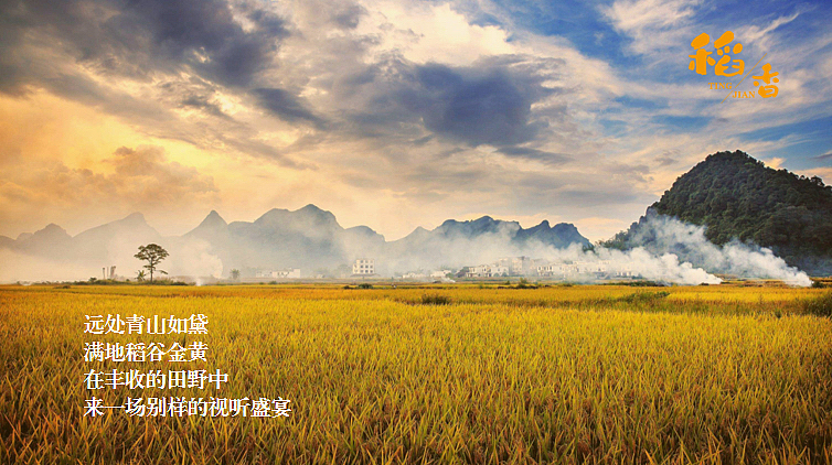 2023香乡村稻田音乐节暨美食嘉年华主题活动策划方案